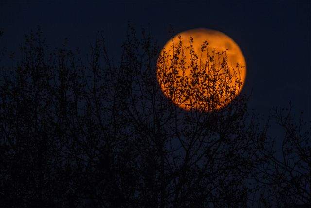 What Does an Orange Moon Mean Spiritually? - Gaiansoul